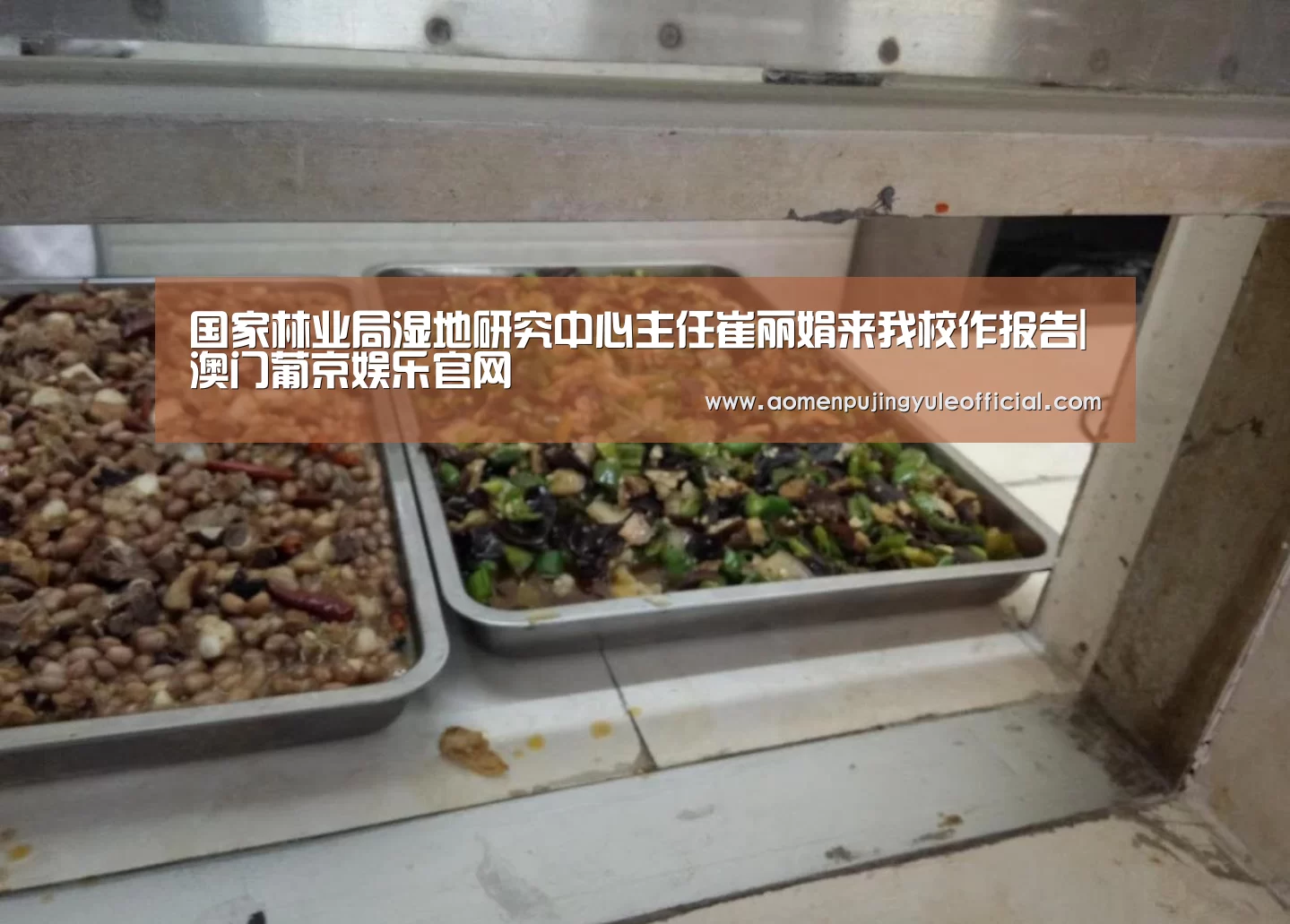 国家林业局湿地研究中心主任崔丽娟来我校作报告|澳门葡京娱乐官网(图4) 澳门葡京娱乐官网