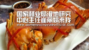 国家林业局湿地研究中心主任崔丽娟来我校作报告|澳门葡京娱乐官网(图1) 澳门葡京娱乐官网