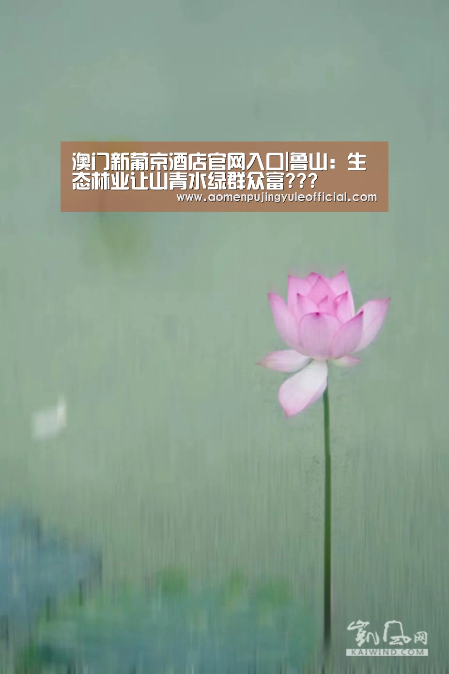 澳门新葡京酒店官网入口|鲁山:生态林业让山青水绿群众富???(图1) 澳门葡京娱乐