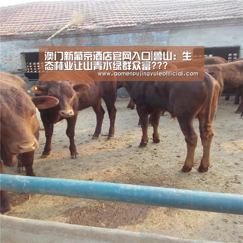 澳门新葡京酒店官网入口|鲁山:生态林业让山青水绿群众富???(图2) 澳门新葡京酒店官网