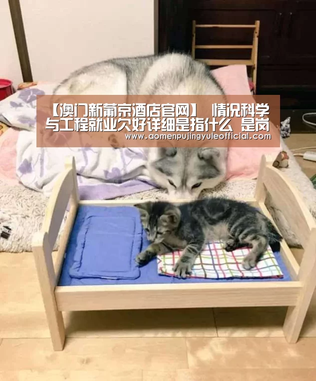 【澳门新葡京酒店官网】
情况科学与工程就业欠好详细是指什么 是岗位少还是没人去?(图1) 澳门新葡京酒店官网入口