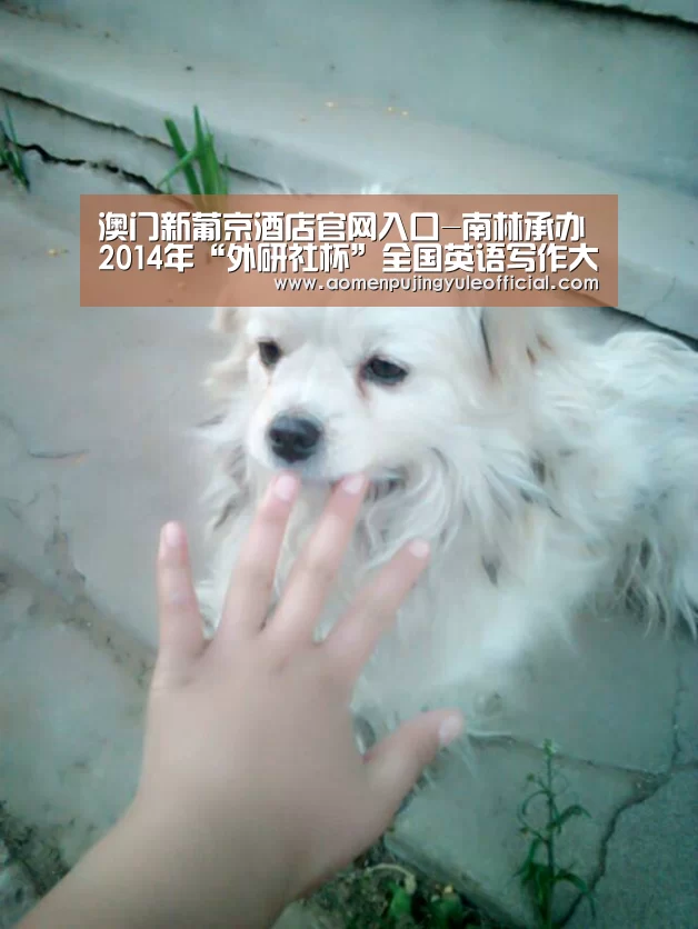 澳门新葡京酒店官网入口-南林承办2014年“外研社杯”全国英语写作大赛江苏赛区决赛(图4) 澳门葡京娱乐官网