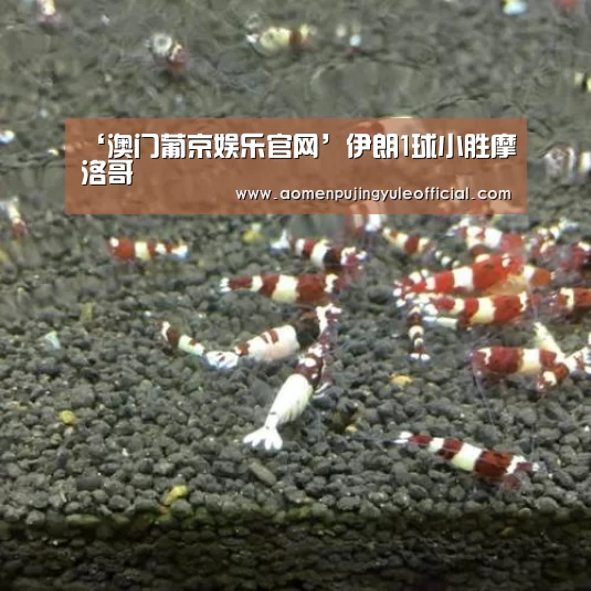 ‘澳门葡京娱乐官网’伊朗1球小胜摩洛哥(图1) 澳门葡京娱乐官网