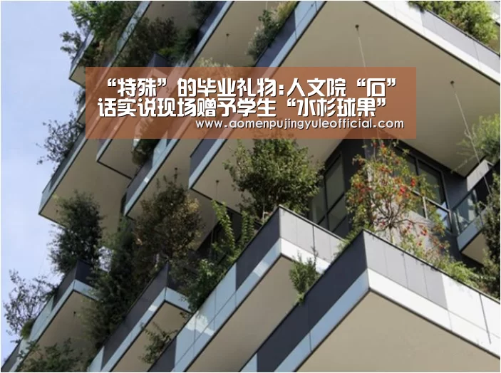 “特殊”的毕业礼物:人文院“石”话实说现场赠予学生“水杉球果”等礼物-澳门新葡京酒店官网入口(图1) 澳门新葡京酒店官网入口