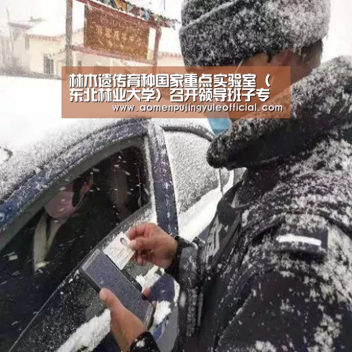 澳门葡京娱乐